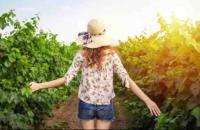 Hosté ubytování Villa turística Camina y Rioja