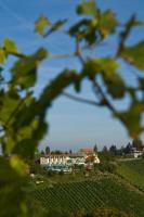 Plán poschodí v ubytovaní das kappel wein gut hotel