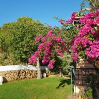 Zahrada ubytování Casa Naya Rural