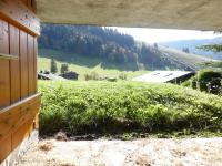 a view from the porch of a house with a field of grass at Abricot - Appart dans chalet in La Clusaz
