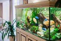 a large aquarium with many fish in it at GRAND OTRADA Hotel Resort & SPA in Odesa