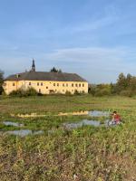 Příroda nedaleko apartmánu