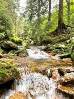 Príroda v okolí apartmánu