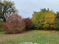 A garden outside Pécsely apartman