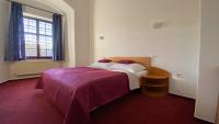 Postel nebo postele na pokoji v ubytování HOTEL CHATEAU ZAMEK CEJKOVICE