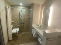 Holiday Inn Express & Suites Albuquerque Historic Old Town by IHGにあるバスルーム