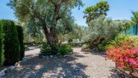 Vonkajšia záhrada v ubytovaní Nuestra Finca Rural Orgiva by Ruralidays