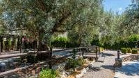 Vonkajšia záhrada v ubytovaní Nuestra Finca Rural Orgiva by Ruralidays