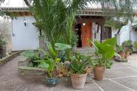 a group of potted plants in front of a house at Hostal El Cortijo in Algodonales