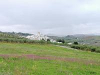 Príroda v okolí of the bed and breakfast