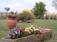 Vonkajšia záhrada v ubytovaní Agriturismo I Romiti