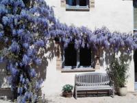 a bush of purple flowers next to a bench at Les Barelles in Saint-Jean-de-Thurigneux
