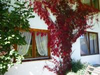 A garden outside Haus Garni Luggi Leitner