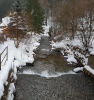 Príroda v okolí chaty v prírode