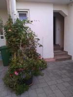 a building with a bunch of flowers in front of it at Apartment Tičić in Povljana