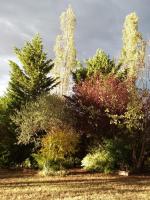A garden outside I Tamerici