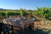 Nápoje v ubytovaní Elegant Villa in Montilla with Private Pool