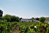Vonkajšia záhrada v ubytovaní Elegant Villa in Montilla with Private Pool