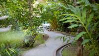a path in a garden with trees and plants at Yaang Come Village Hotel in Chiang Mai