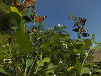 Gallery image of Rattana Bungalow Koh Chang in Koh Chang Ranong