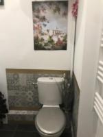 a bathroom with a toilet and a painting on the wall at Les Coulisses de l&#39;HORLOGE - WIFI - 50 m Palais des Papes in Avignon