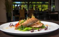 Jídlo v hotelu nebo okolí