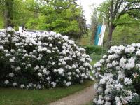 Zahrada ubytování Kurheim Haus Linde