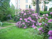 Zahrada ubytování Kurheim Haus Linde