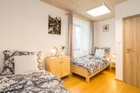 Postel nebo postele na pokoji v ubytování Vinný apartmán Rakovník