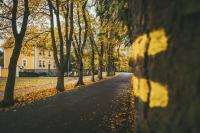 Půdorys ubytování Apartmány Natálie