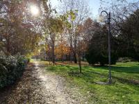 A garden outside La Mia Mansardina