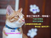 an orange and white cat wearing a blue collar at 貓咪民宿Mini館-中午即可入房 in Taitung City
