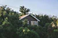 a small house in the midst of trees at Live in the woods in Mikhmannim