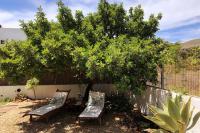 Vonkajšia záhrada v ubytovaní CASA GRANADO en Cabo de Gata
