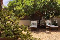 Vonkajšia záhrada v ubytovaní CASA GRANADO en Cabo de Gata