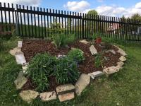 Zahrada ubytování Apartmány Forest