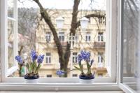 Půdorys ubytování Apartment Anglicka 138