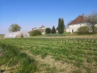 Gallery image of Magnifique villa de charme avec piscine in Casteljaloux