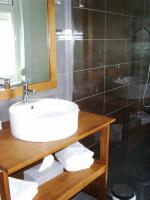 a bathroom with a sink and a shower at La Ceriseraie in La Gorgue