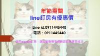a poster of a cat with a line of four pictures at 貓咪民宿Mini館-中午即可入房 in Taitung City