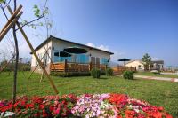 Gallery image of Countryside B&amp;B in Ruisui