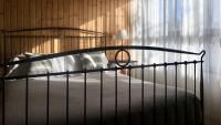 Posteľ alebo postele v izbe v ubytovaní MD Modern Hotel - Jardines
