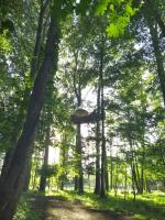 Природа в окрестностях люкс-шатра