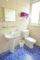 a bathroom with a toilet and a sink at Spring Garden Homestay in Hualien City