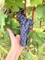 Plán poschodí v ubytovaní Agricola Domus