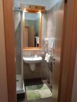 A bathroom at Birdland Panorama Apartman