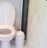 a bathroom with a toilet and a shower curtain at Maison de 2 chambres avec jardin clos et wifi a Marcillac la Croisille in Marcillac-la-Croisille