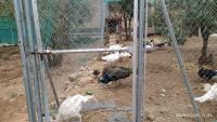 Plán poschodí v ubytovaní Casas Rurales Villa Vicenta