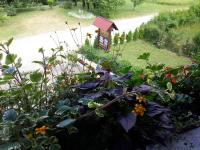 a garden with flowers and a small bird house at Lake House 1 in Plitvička Jezera