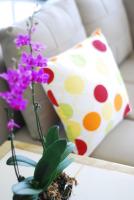 a vase with purple flowers and a polka dot pillow at Green Window Homestay in Hualien City